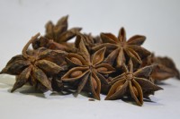 Sternanis